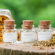 Disseny pàgines web Tarragona Homeopatía y Osteopatía