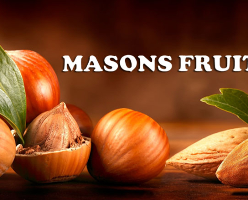 Masons Fruits Mandigit Disseny Web