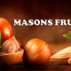 Masons Fruits Mandigit Disseny Web