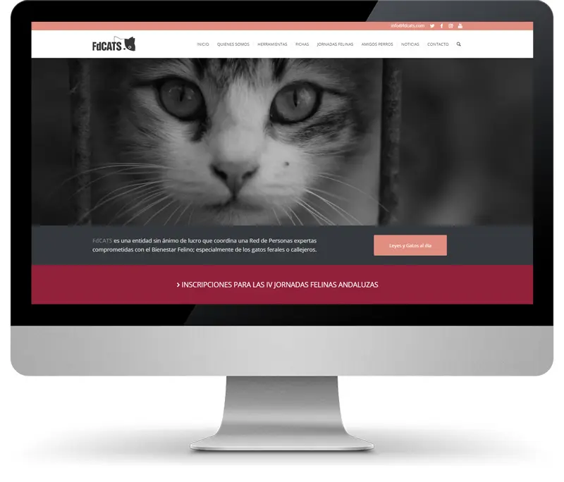 Imatge gat FDCATS per disseny web monitor